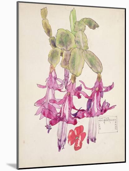 Cactus Flower-Charles Rennie Mackintosh-Mounted Giclee Print
