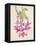 Cactus Flower-Charles Rennie Mackintosh-Framed Stretched Canvas