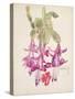 Cactus Flower-Charles Rennie Mackintosh-Stretched Canvas