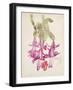 Cactus Flower-Charles Rennie Mackintosh-Framed Premium Giclee Print