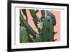 Cactus Flower-Sheldon Lewis-Framed Art Print