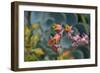 Cactus Flowers 1055-Gordon Semmens-Framed Photographic Print