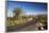 Cactus Forest Drive, Saguaro National Park, Arizona, USA-Jamie & Judy Wild-Framed Photographic Print