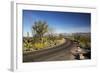 Cactus Forest Drive, Saguaro National Park, Arizona, USA-Jamie & Judy Wild-Framed Photographic Print