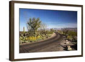 Cactus Forest Drive, Saguaro National Park, Arizona, USA-Jamie & Judy Wild-Framed Photographic Print