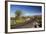 Cactus Forest Drive, Saguaro National Park, Arizona, USA-Jamie & Judy Wild-Framed Photographic Print