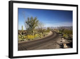 Cactus Forest Drive, Saguaro National Park, Arizona, USA-Jamie & Judy Wild-Framed Photographic Print