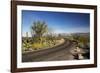 Cactus Forest Drive, Saguaro National Park, Arizona, USA-Jamie & Judy Wild-Framed Photographic Print