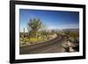 Cactus Forest Drive, Saguaro National Park, Arizona, USA-Jamie & Judy Wild-Framed Photographic Print