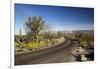 Cactus Forest Drive, Saguaro National Park, Arizona, USA-Jamie & Judy Wild-Framed Photographic Print