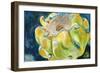 Cactus Fruit-Jennifer Redstreake Geary-Framed Art Print