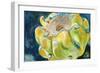 Cactus Fruit-Jennifer Redstreake Geary-Framed Art Print