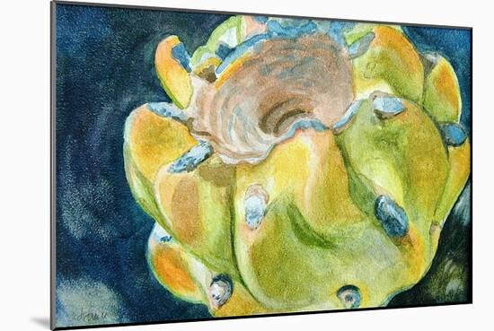 Cactus Fruit-Jennifer Redstreake Geary-Mounted Art Print