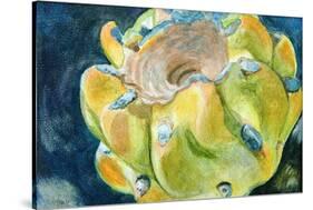 Cactus Fruit-Jennifer Redstreake Geary-Stretched Canvas