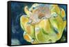 Cactus Fruit-Jennifer Redstreake Geary-Framed Stretched Canvas