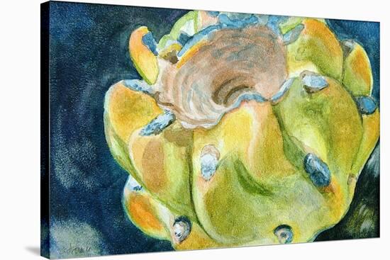 Cactus Fruit-Jennifer Redstreake Geary-Stretched Canvas