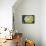 Cactus Fruit-Jennifer Redstreake Geary-Framed Stretched Canvas displayed on a wall