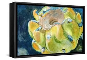 Cactus Fruit-Jennifer Redstreake Geary-Framed Stretched Canvas