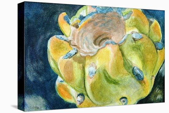 Cactus Fruit-Jennifer Redstreake Geary-Stretched Canvas