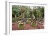 Cactus Garden, Fuerteventura, Canary Islands-Peter Thompson-Framed Photographic Print