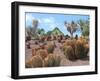 Cactus Garden in Fuerteventura-JackyBrown-Framed Photographic Print