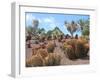 Cactus Garden in Fuerteventura-JackyBrown-Framed Photographic Print