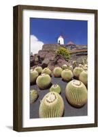 Cactus Garden Jardin De Cactus by Cesar Manrique, Wind Mill, UNESCO Biosphere Reserve-Markus Lange-Framed Photographic Print