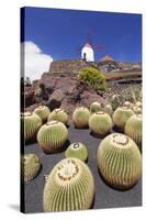 Cactus Garden Jardin De Cactus by Cesar Manrique, Wind Mill, UNESCO Biosphere Reserve-Markus Lange-Stretched Canvas