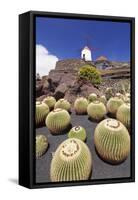 Cactus Garden Jardin De Cactus by Cesar Manrique, Wind Mill, UNESCO Biosphere Reserve-Markus Lange-Framed Stretched Canvas