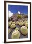 Cactus Garden Jardin De Cactus by Cesar Manrique, Wind Mill, UNESCO Biosphere Reserve-Markus Lange-Framed Photographic Print