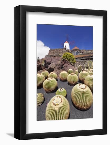 Cactus Garden Jardin De Cactus by Cesar Manrique, Wind Mill, UNESCO Biosphere Reserve-Markus Lange-Framed Photographic Print