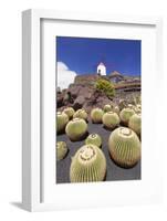 Cactus Garden Jardin De Cactus by Cesar Manrique, Wind Mill, UNESCO Biosphere Reserve-Markus Lange-Framed Photographic Print