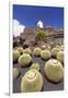 Cactus Garden Jardin De Cactus by Cesar Manrique, Wind Mill, UNESCO Biosphere Reserve-Markus Lange-Framed Photographic Print