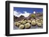 Cactus Garden Jardin De Cactus by Cesar Manrique, Wind Mill, UNESCO Biosphere Reserve-Markus Lange-Framed Photographic Print