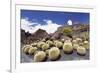 Cactus Garden Jardin De Cactus by Cesar Manrique, Wind Mill, UNESCO Biosphere Reserve-Markus Lange-Framed Photographic Print