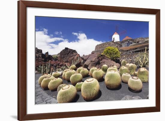 Cactus Garden Jardin De Cactus by Cesar Manrique, Wind Mill, UNESCO Biosphere Reserve-Markus Lange-Framed Photographic Print