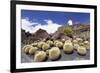 Cactus Garden Jardin De Cactus by Cesar Manrique, Wind Mill, UNESCO Biosphere Reserve-Markus Lange-Framed Photographic Print