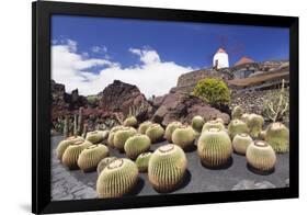 Cactus Garden Jardin De Cactus by Cesar Manrique, Wind Mill, UNESCO Biosphere Reserve-Markus Lange-Framed Photographic Print