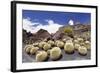 Cactus Garden Jardin De Cactus by Cesar Manrique, Wind Mill, UNESCO Biosphere Reserve-Markus Lange-Framed Photographic Print