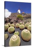 Cactus Garden Jardin De Cactus by Cesar Manrique, Wind Mill, UNESCO Biosphere Reserve-Markus Lange-Stretched Canvas