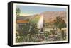 Cactus Garden, Palm Springs, California-null-Framed Stretched Canvas