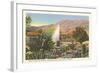 Cactus Garden, Palm Springs, California-null-Framed Art Print