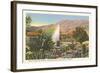 Cactus Garden, Palm Springs, California-null-Framed Art Print