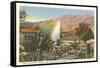 Cactus Garden, Palm Springs, California-null-Framed Stretched Canvas