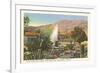 Cactus Garden, Palm Springs, California-null-Framed Art Print