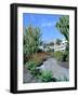 Cactus Garden, Puerto Rico, Gran Canaria, Canary Islands-Peter Thompson-Framed Photographic Print