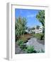 Cactus Garden, Puerto Rico, Gran Canaria, Canary Islands-Peter Thompson-Framed Photographic Print