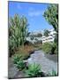 Cactus Garden, Puerto Rico, Gran Canaria, Canary Islands-Peter Thompson-Mounted Photographic Print