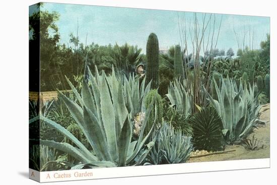 Cactus Garden with Agave-null-Stretched Canvas
