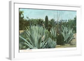 Cactus Garden with Agave-null-Framed Art Print